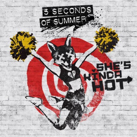 She's Kinda Hot - 5 Seconds Of Summer cover