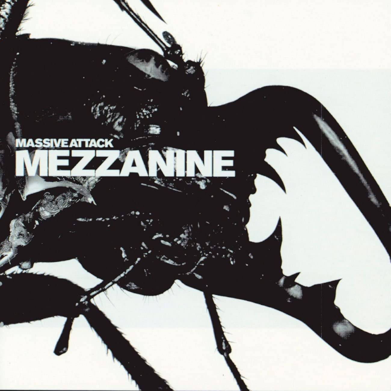 Massive Attack - Teardrop - Testo e Traduzione