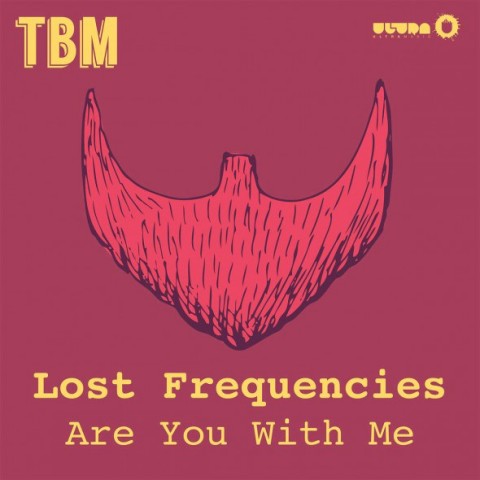 lost-frequncies-are-you-with-me-cover