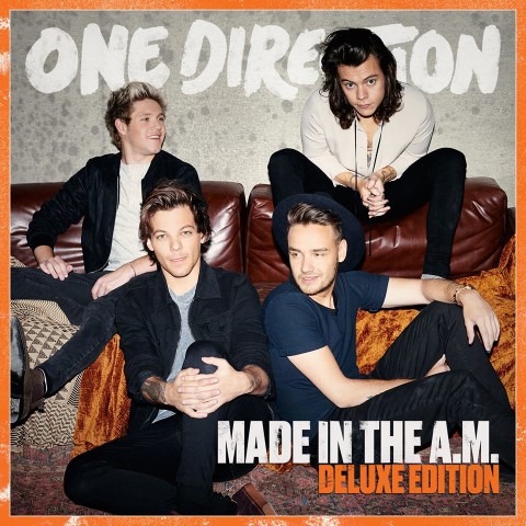 One Direction made in the am album cover