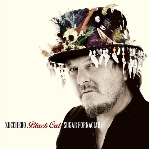 Zucchero Black Cat album cover