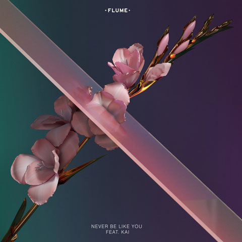 Flume-Never-Be-Like-You