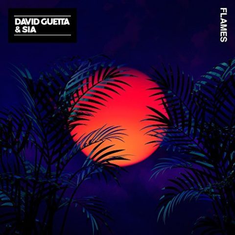 David Guetta and Sia Flames