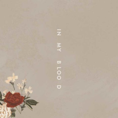 Shawn Mendes In My Blood
