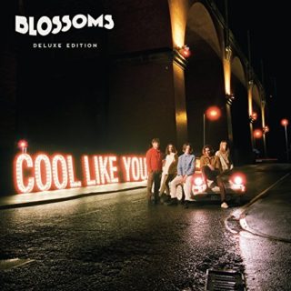 Blossom Cool Like You album 2018 cover
