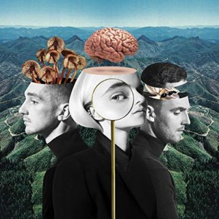 What Is Love Clean Bandit album cover