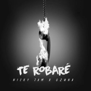 Te Robaré - Nicky Jam Ozuna