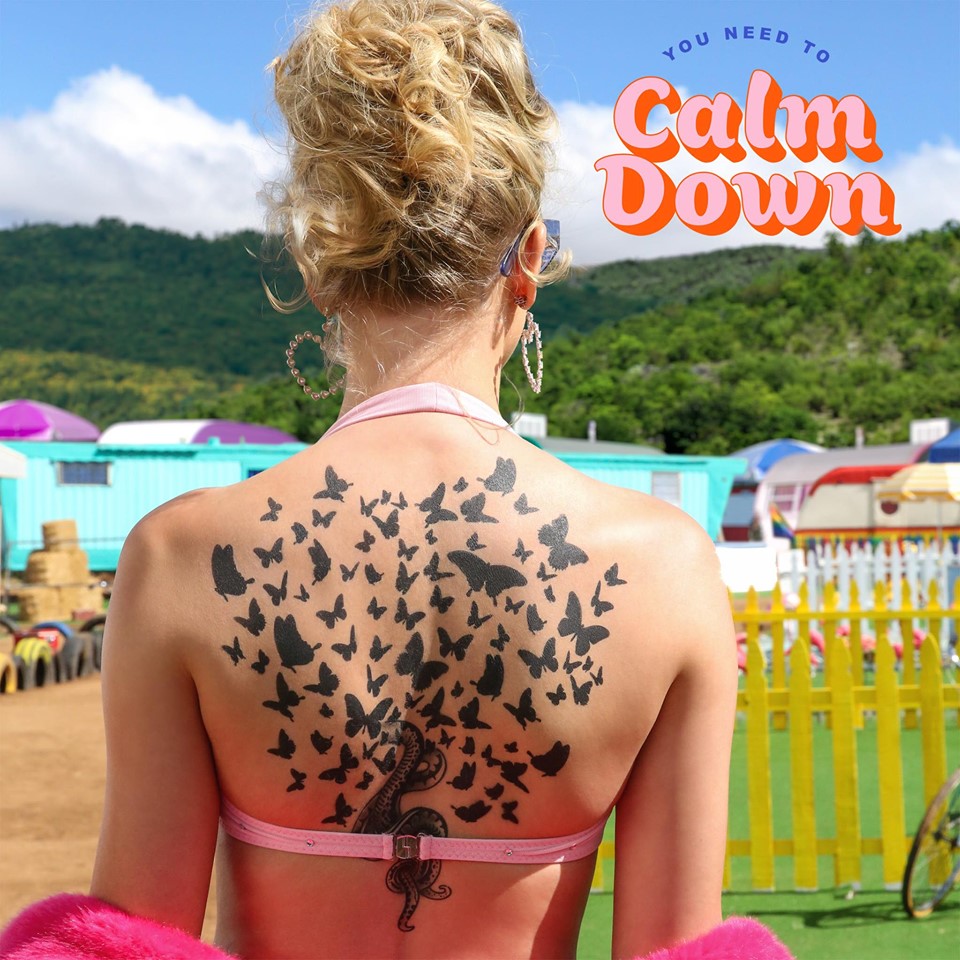 You Need to Calm Down Taylor Swift