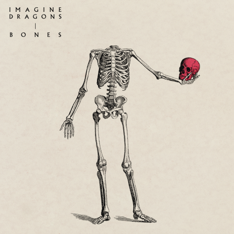 Imagine Dragons, Bones - Testo e Traduzione