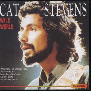 Wild World, Cat Stevens - Testo Traduzione