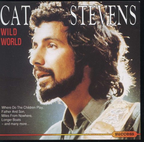 Wild World, Cat Stevens - Testo Traduzione