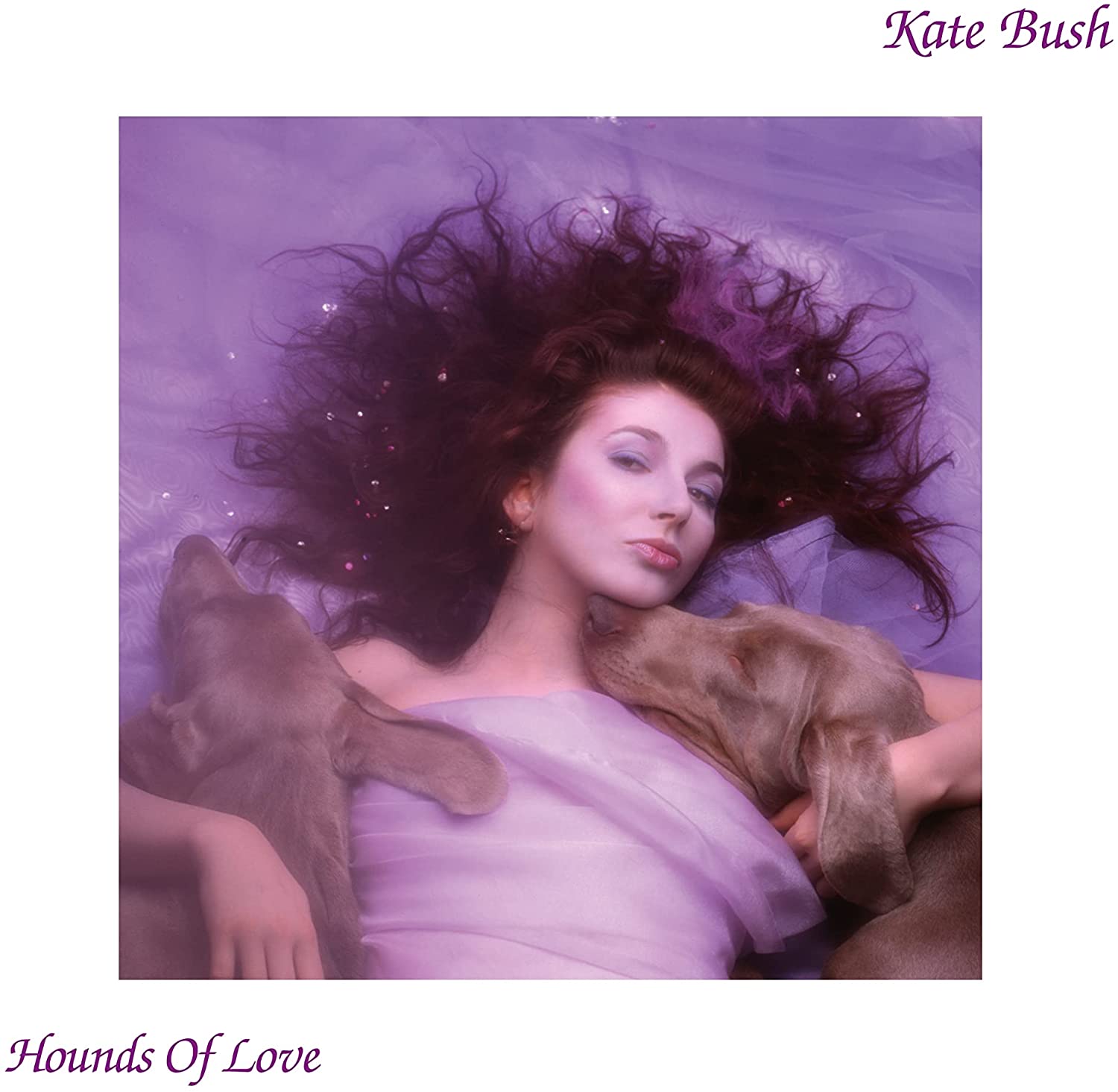 Hounds of Love - Album di Kate Bush