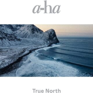 A-HA - You Have What It Takes - Testo Traduzione Significato