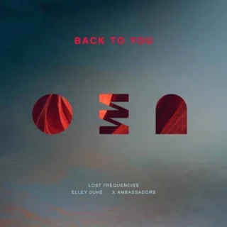 Back To You - Lost Frequencies, Elley Duhé, X Ambassadors - Testo e Traduzione