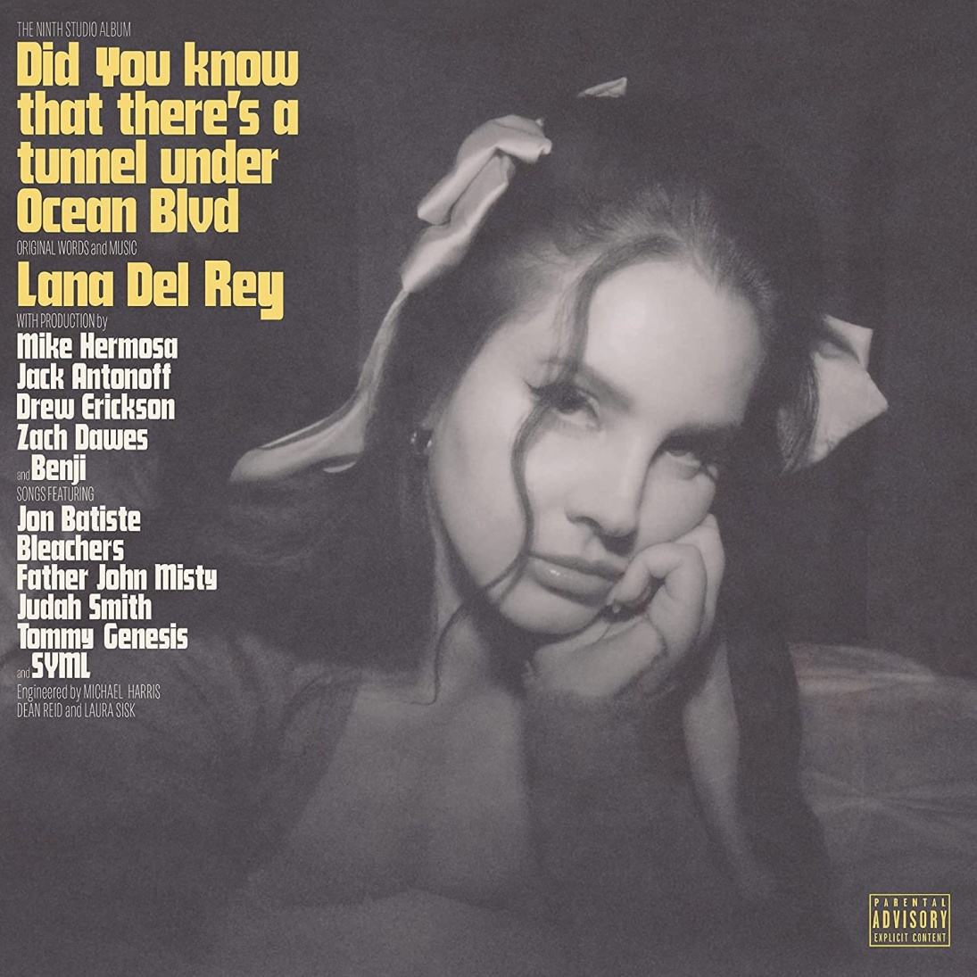 Did you know that there's a tunnel under Ocean Blvd - Lana Del Rey - Testo Traduzione Significato