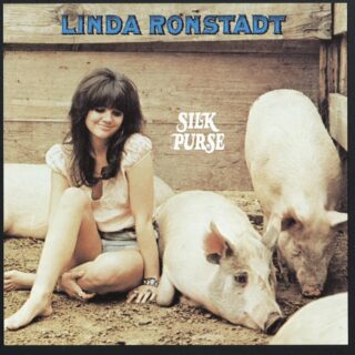 Linda Ronstadt - Long Long Time - Testo e Traduzione canzone The Last of Us