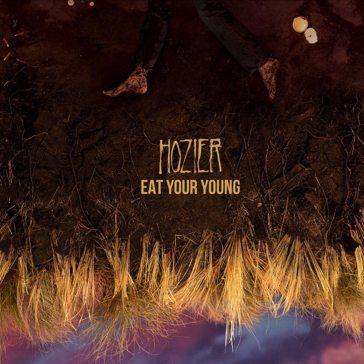 Hozier - Eat Your Young - Testo Traduzione Significato