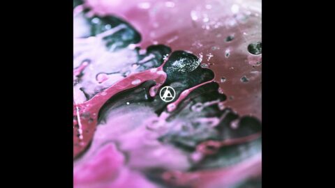 Up From the Bottom - LINKIN PARK - Testo Traduzione e Significato