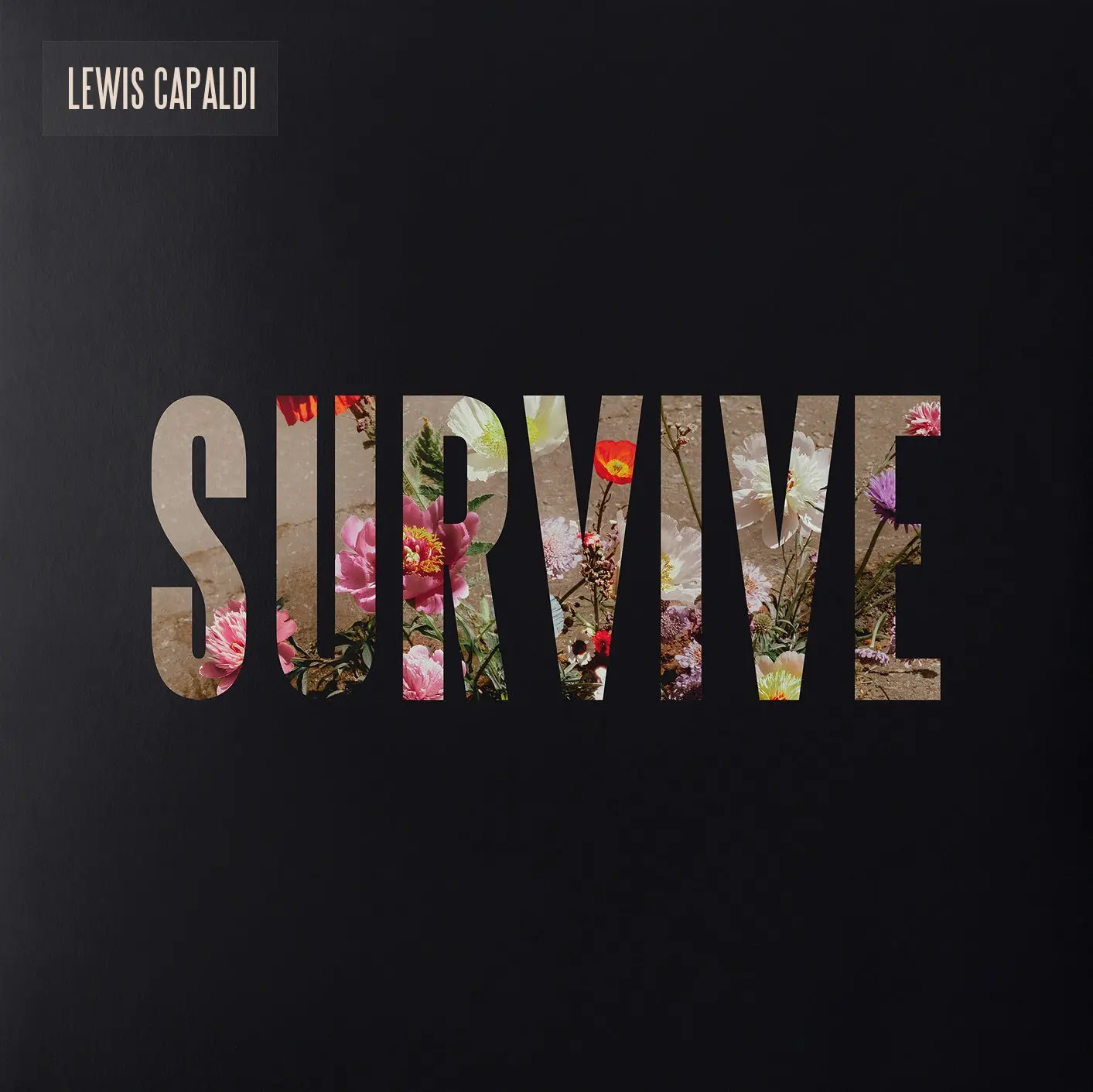 The Day That I Die di Lewis Capaldi - Testo Traduzione Significato