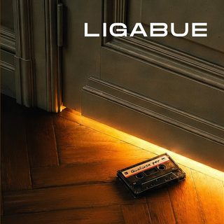 Ligabue, Qualcosa per te - Testo e Significato