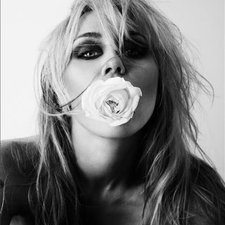 Bass Persuades, Miley - Traduzione Testo Significato